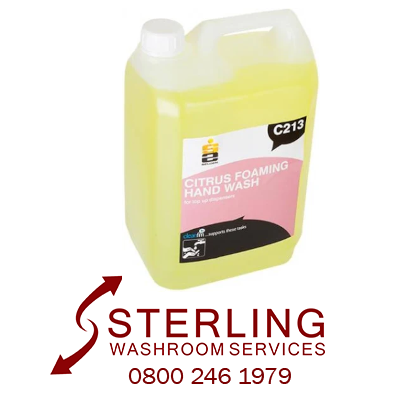 Citrus Foam Hand Soap